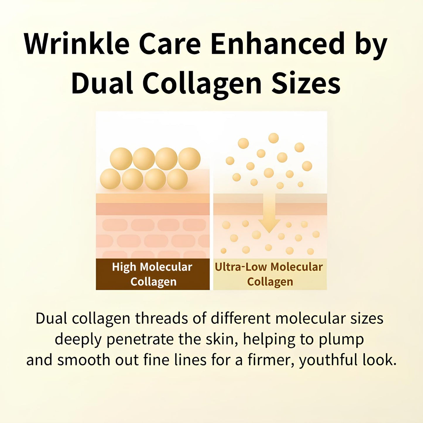 Aureline™ Deep Collagen Silk Peptide Ampoule